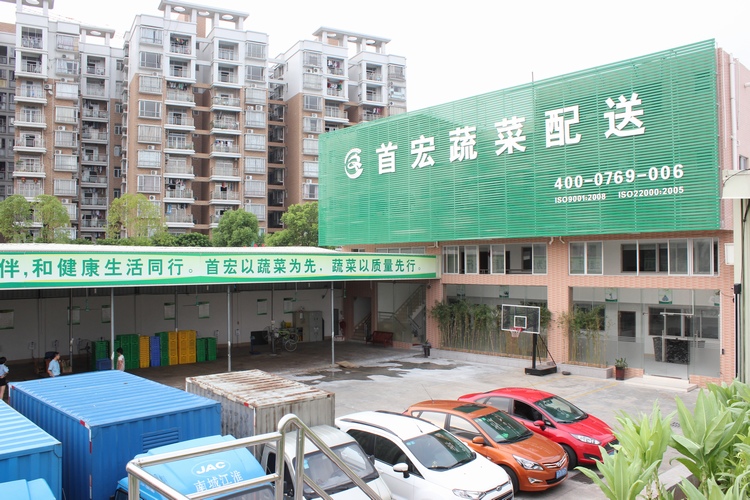  東莞蔬菜配送
